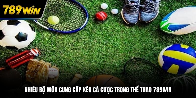 Đa dạng bộ môn cung cấp lượng kèo cược khủng