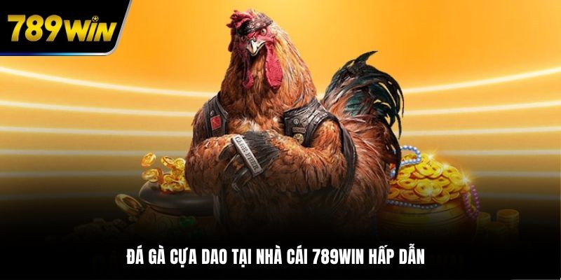 Đá gà cựa dao tại nhà cái 789WIN hấp dẫn