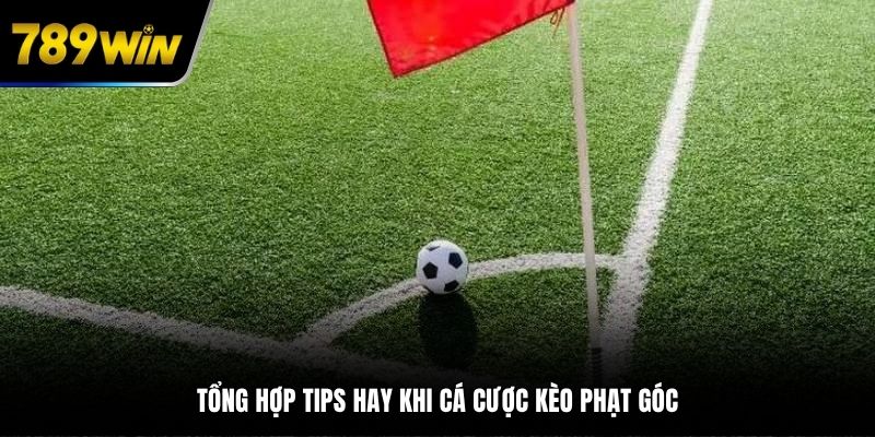 Cập nhật những bí quyết hay để vào tiền chuẩn xác